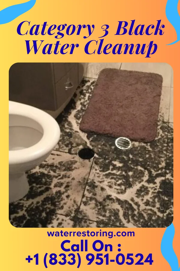 Category 3 Black Water Cleanup in Annapolis, MD