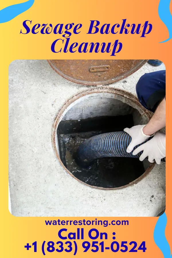 Sewage Backup Cleanup in Annapolis, MD
